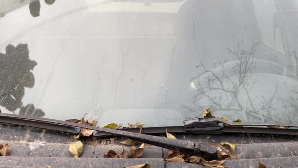 Dusty Old Abandoned Car Lots Dry Leaves Windshield — Stock Video