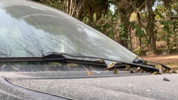 Vecchia Polverosa Auto Abbandonata Con Tante Foglie Secche Sul Parabrezza — Video Stock