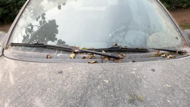 Dusty Stary Porzucony Samochód Mnóstwem Suchych Liści Przedniej Szybie — Wideo stockowe