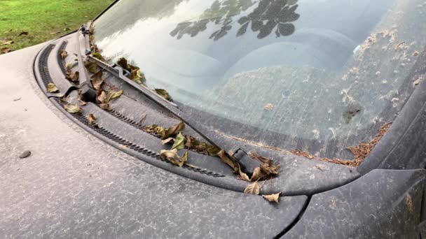 Dusty Stary Porzucony Samochód Mnóstwem Suchych Liści Przedniej Szybie — Wideo stockowe