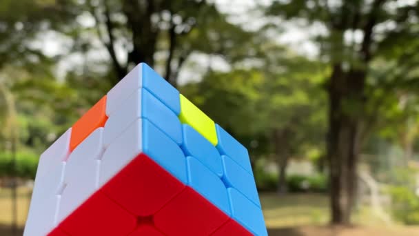 Rubikova Kostka Popředí Pěkným Přírodním Pozadím — Stock video