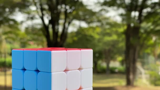 Rubik Cube Vordergrund Mit Einem Schönen Naturhintergrund — Stockvideo