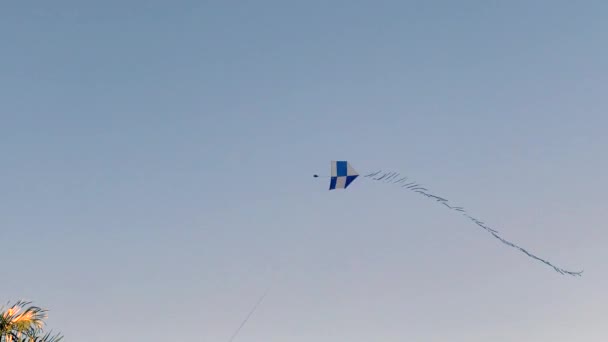 Vlieger Vliegen Een Regelmatige Wind Ook Vallen Als Gevolg Van — Stockvideo