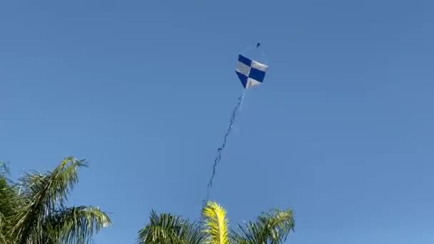 Kite Flying Regular Wind Also Falling Due Its Lack Blue — Stock Video