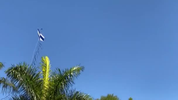 Kite Πετούν Ένα Κανονικό Άνεμο Και Επίσης Πέσει Λόγω Της — Αρχείο Βίντεο