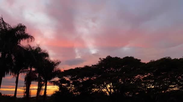 Tijdsverloop Van Zonsondergang Met Palmboomstammen Prachtige Hemel Gekleurde Wolken Beweging — Stockvideo