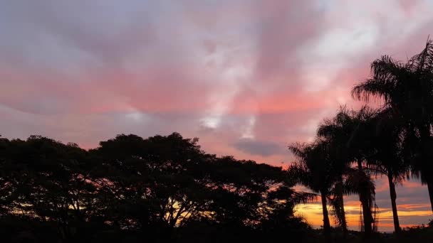 Tijdsverloop Van Zonsondergang Met Palmboomstammen Prachtige Hemel Gekleurde Wolken Beweging — Stockvideo