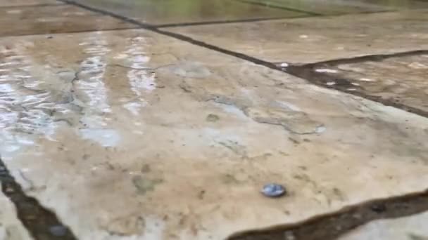 Langsamer Bewegung Fallen Regentropfen Vom Himmel Über Einen Steinboden Rund — Stockvideo