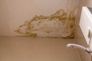 Banyo tavanı görünür nem lekeleri nem, nem ve su hasarı gösteriyor.