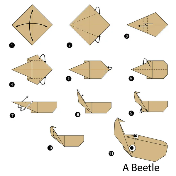 Schritt Für Schritt Anleitung Wie Man Origami Einem Käfer Macht — Stockvektor