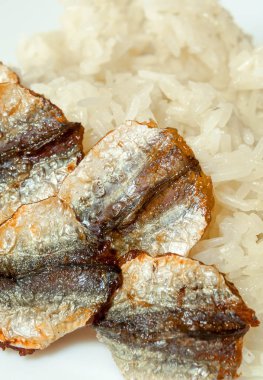 Gıda, yapışkan pirinç ve kızarmış kurutulmuş balık kadar yakın, eve sokak gıda al