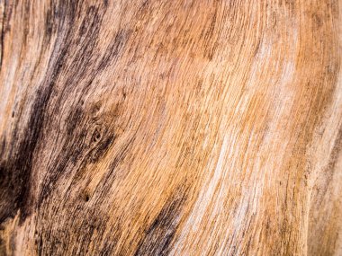 Eski kütük ahşap dokusuna yakın.