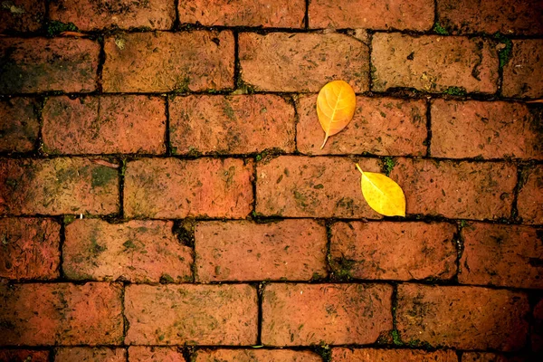 黄色葉が赤れんが造りの床に落ちる — ストック写真