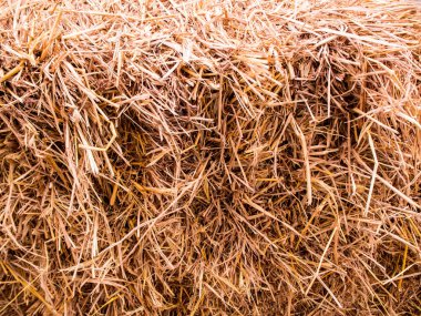 Doku Kazıklı Kurutulmuş saman hayvan yemi için