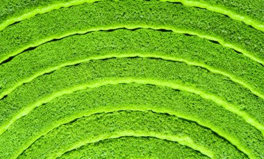 Sünger kauçuk köpük levha doku mat için Yoga etkinliği