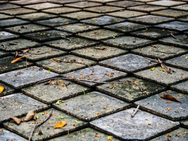 Sarı yaprak düşmek kare şekli çatı kiremitleri üzerinde