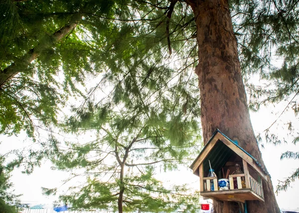 House of spirit on the big pine tree