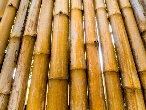 Texture Surface Ensemble Bambou Pour Décorer Mur — Photo