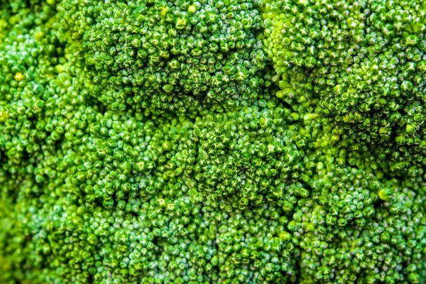 Oberflächenstruktur Von Frischem Brokkoli Gemüse Aus Nächster Nähe — Stockfoto
