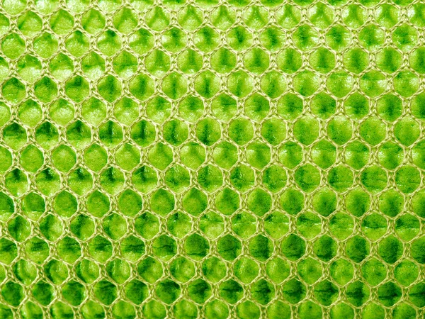 Sponge rubber foam sheet texture of mat for Yoga activity in the nylon mesh bag