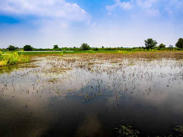 Reflexion Des Himmels Auf Der Wasseroberfläche Von Feuchtgebieten — Stockfoto