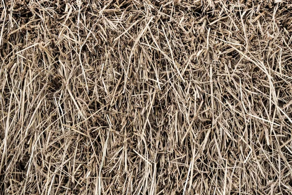 Texture Piled Dried Straw Animal Feed — Stock Photo, Image