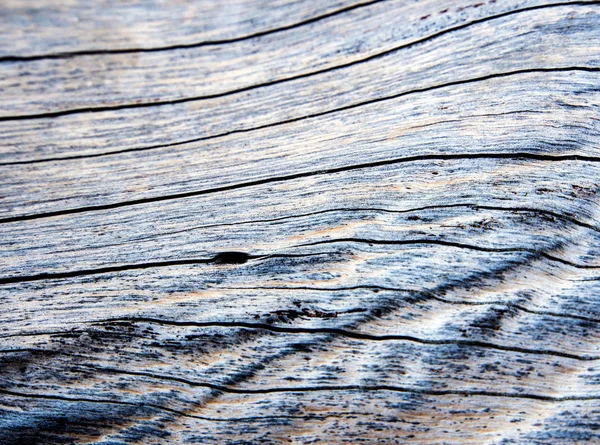 Detalhe Superfície Coto Velho Textura Madeira — Fotografia de Stock