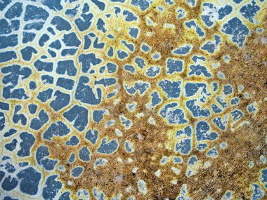 Cilalı beton yüzeyinde çatlaklar