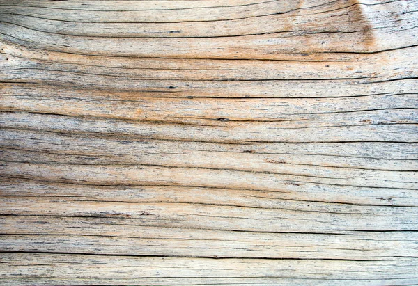 古い切り株表面の詳細 古い切り株の木材表面のテクスチャ — ストック写真