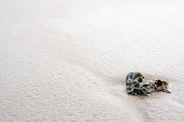 Kumsaldaki mercan ve deniz kabuğunun kalıntıları.