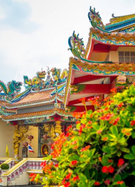 Dikenli Taç, Çin dini mekanlarında bulunan kutsal bir bitkidir.