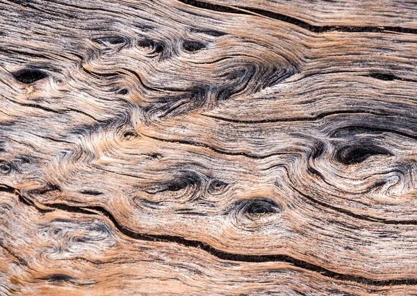 Texture Trincee Corteccia Superficiale Del Tronco Albero Sfondo Astratto — Foto Stock