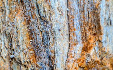 Kayalık dağ taş yüzeye dokusuna