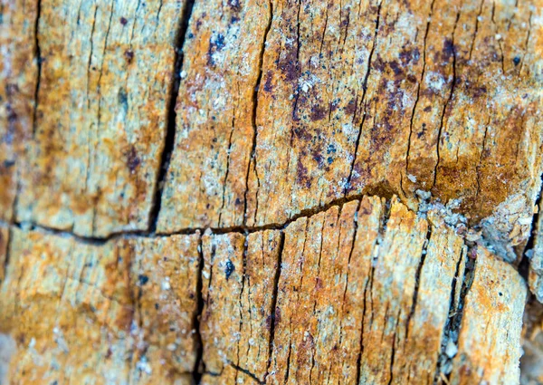 Textura Povrchu Kamene Rocky Mountain — Stock fotografie