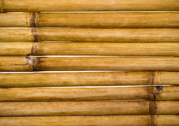 Texture Surface Croissant Bambou Ensemble Pièces Pour Décorer Mur — Photo