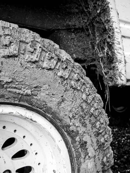 Boue Déchets Herbe Bâton Avec Roues Voitures — Photo