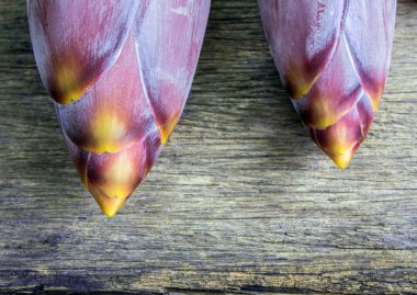 Doku ve canlı renkler gümüş bluggoe muz çiçeği