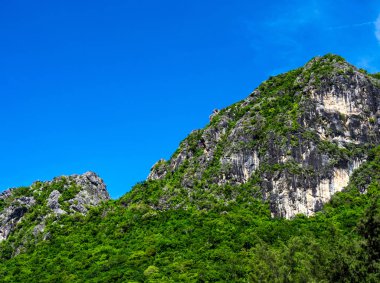 Ağaçlar rock dağ ve açık mavi gökyüzü