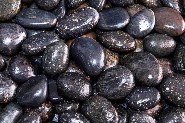 Wet surface of black river stone on ground beside the waterfall