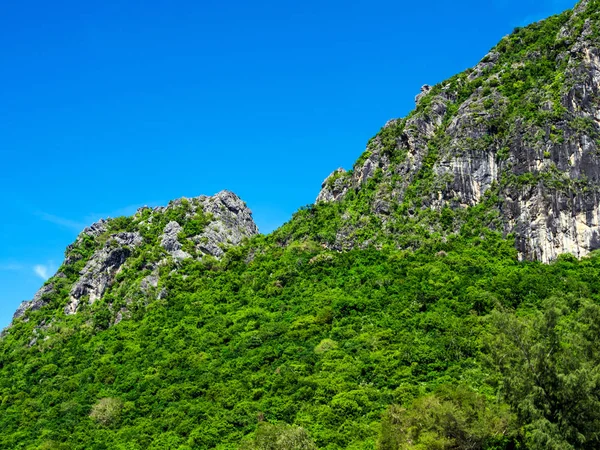 Trees on rock mountain and the clear blue sky