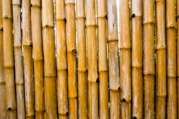 Поверхностная Текстура Бамбукового Набора Украшения Стены — стоковое фото