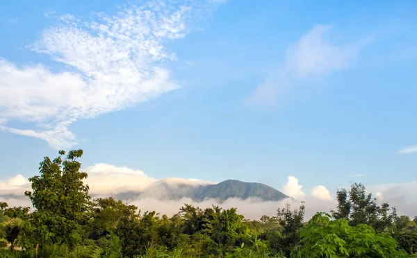 Felhős Fák Koronája Dzsungel Hegyek Felett Lebegő — Stock Fotó