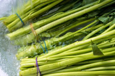 Tay Morning glory ve Çince lahana suda yıkayın