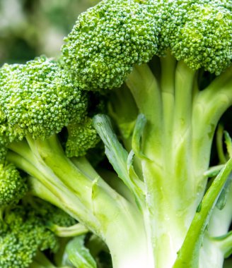 Taze Brokoli sebzesinin yüzey dokusuna yakın.