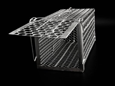 Siyah arkaplanda fare kapanı