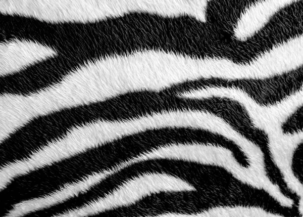 Zebra Pele Padrão Tecido Couro — Fotografia de Stock