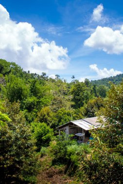 Kırsal kesimde binasının çatısında küçük güneş paneli