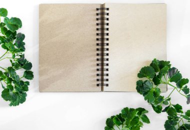 Boş kahverengi sayfa spiral defter doğa renk yeşil yaprakları