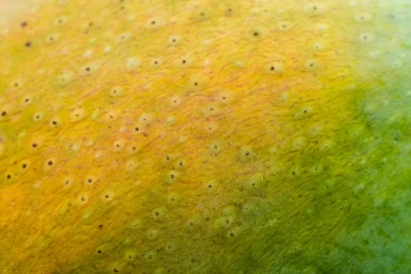 Detalle Sobre Textura Superficial Piel Del Mango — Foto de Stock