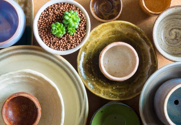 Pequena Planta Sala Nos Vasos Cerâmica Adaptados Tigelas Cerâmica — Fotografia de Stock